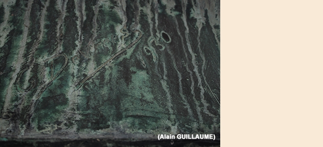 SIGNATURE 660 WEB.jpg