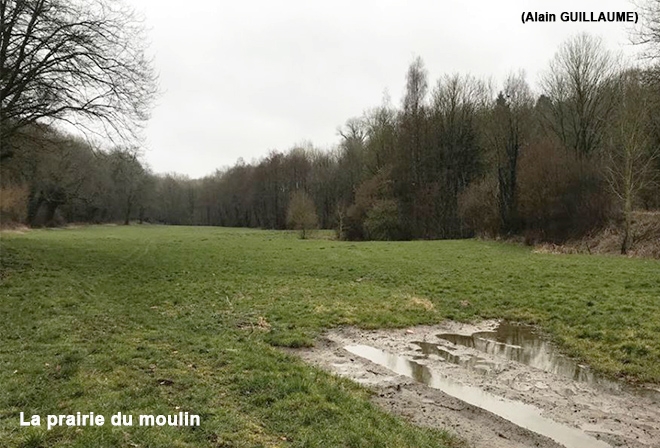 PRAIRIE DU MOULIN 660.jpg