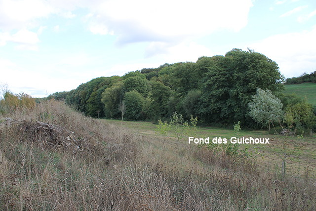 Fond des Guichoux 640