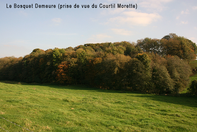 Le bosquet Demeure 640