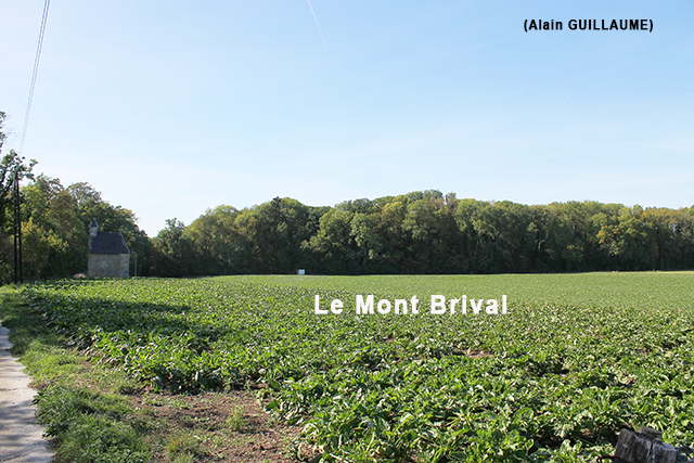 LE MONT BRIVAL 640