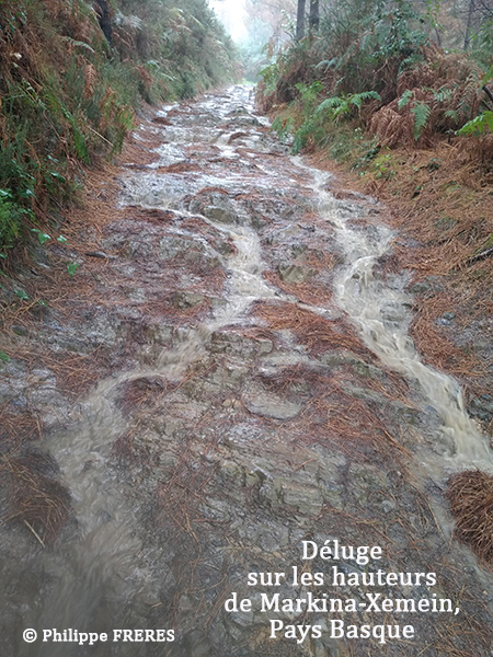 Déluge sur les hauteurs de Markina-Xemein, Pays Basque 450.jpg