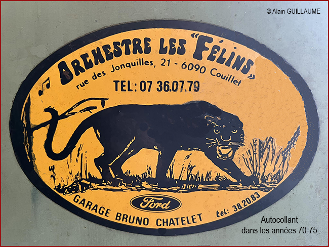 Autocollant LES FELINS 650