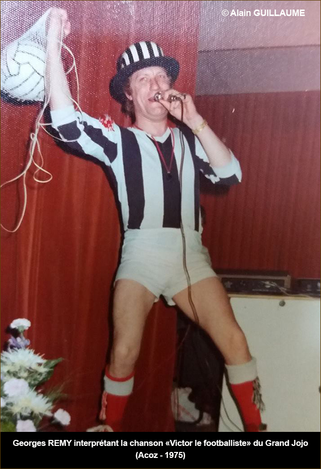 GEORGES DES FELINS web