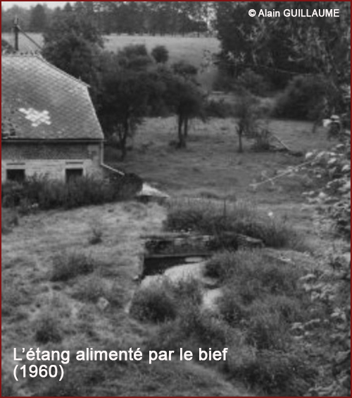 ETANG 1960 500