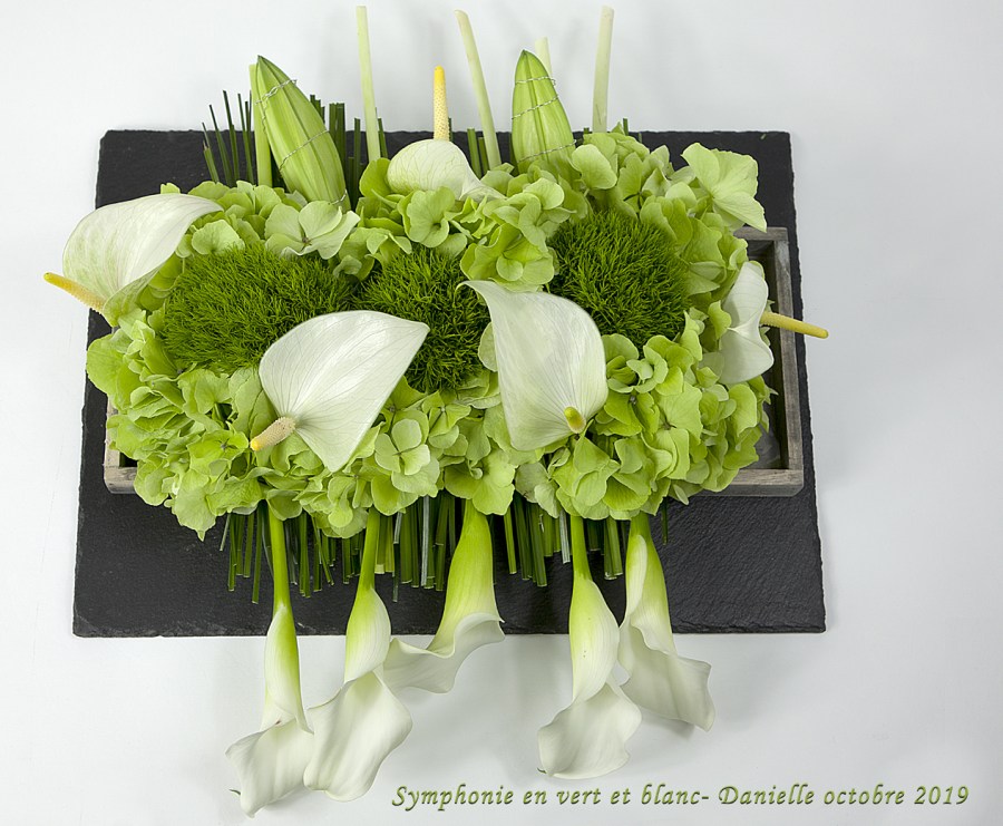 Symphonie en vert et blancAG 2