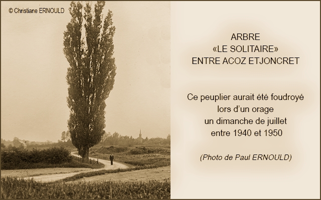 37 Le solitaire 640_InPixio