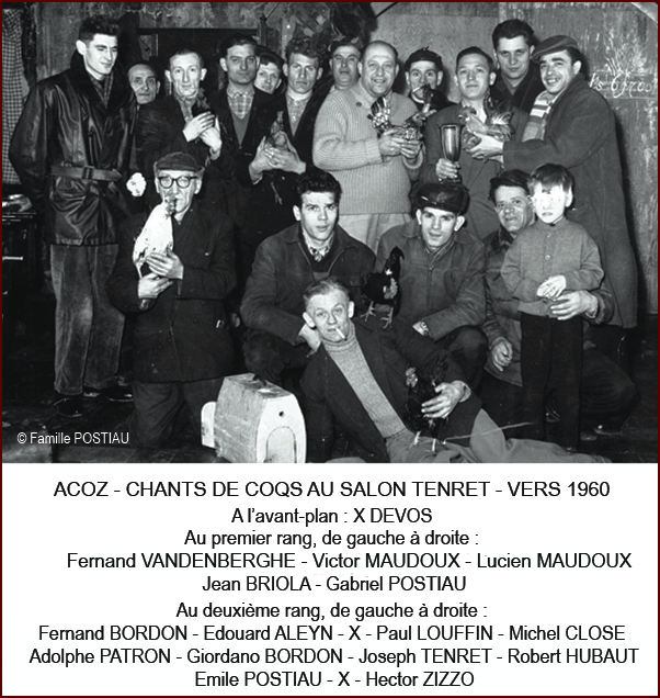 Chants de coqs 1960 640