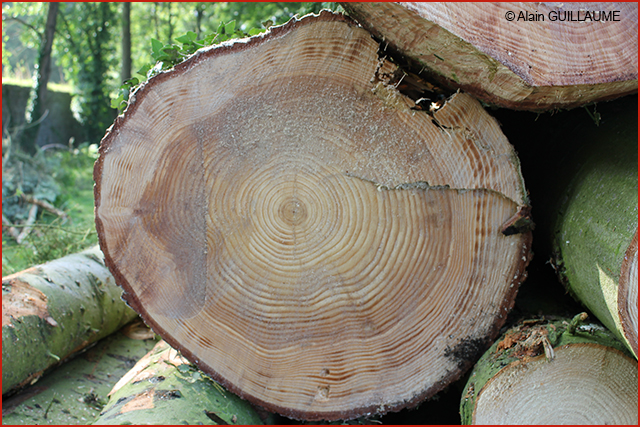 10 RAVeL 5.9.2014 024