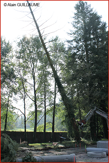 4 RAVeL 5.9.2014 015