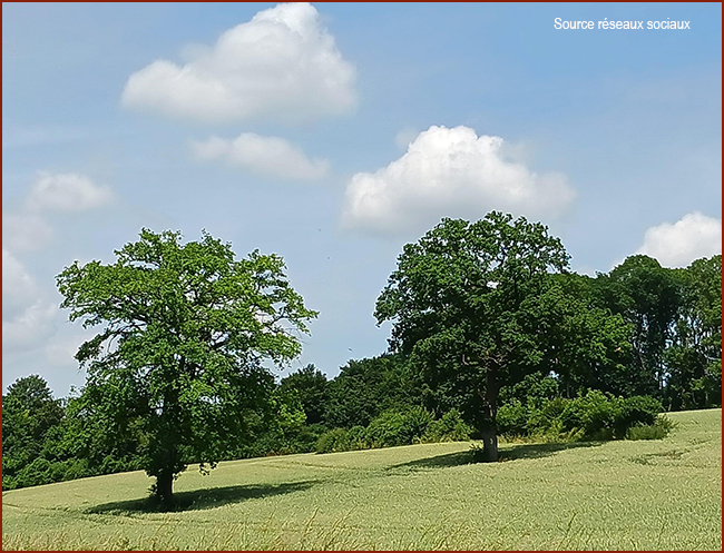 Réseaux sociaux 1 650