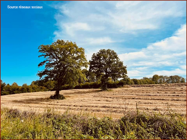 Réseaux sociaux 2 650