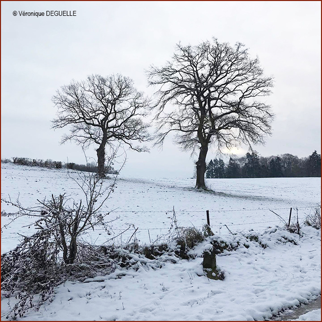 Véronique DEGUELLE 3 650