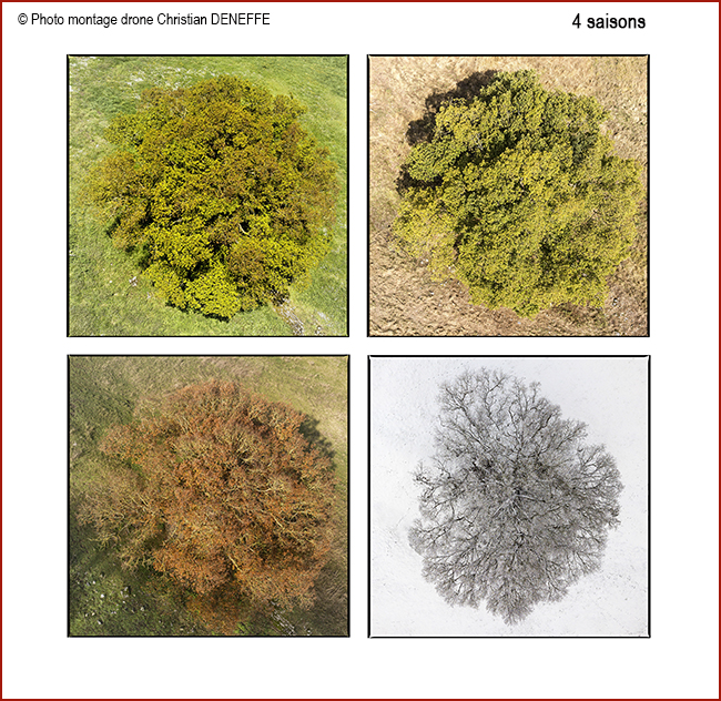 Montage 4 saisons 650