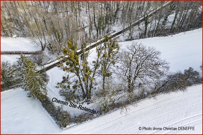 Plan chemin Ste-role,de 650