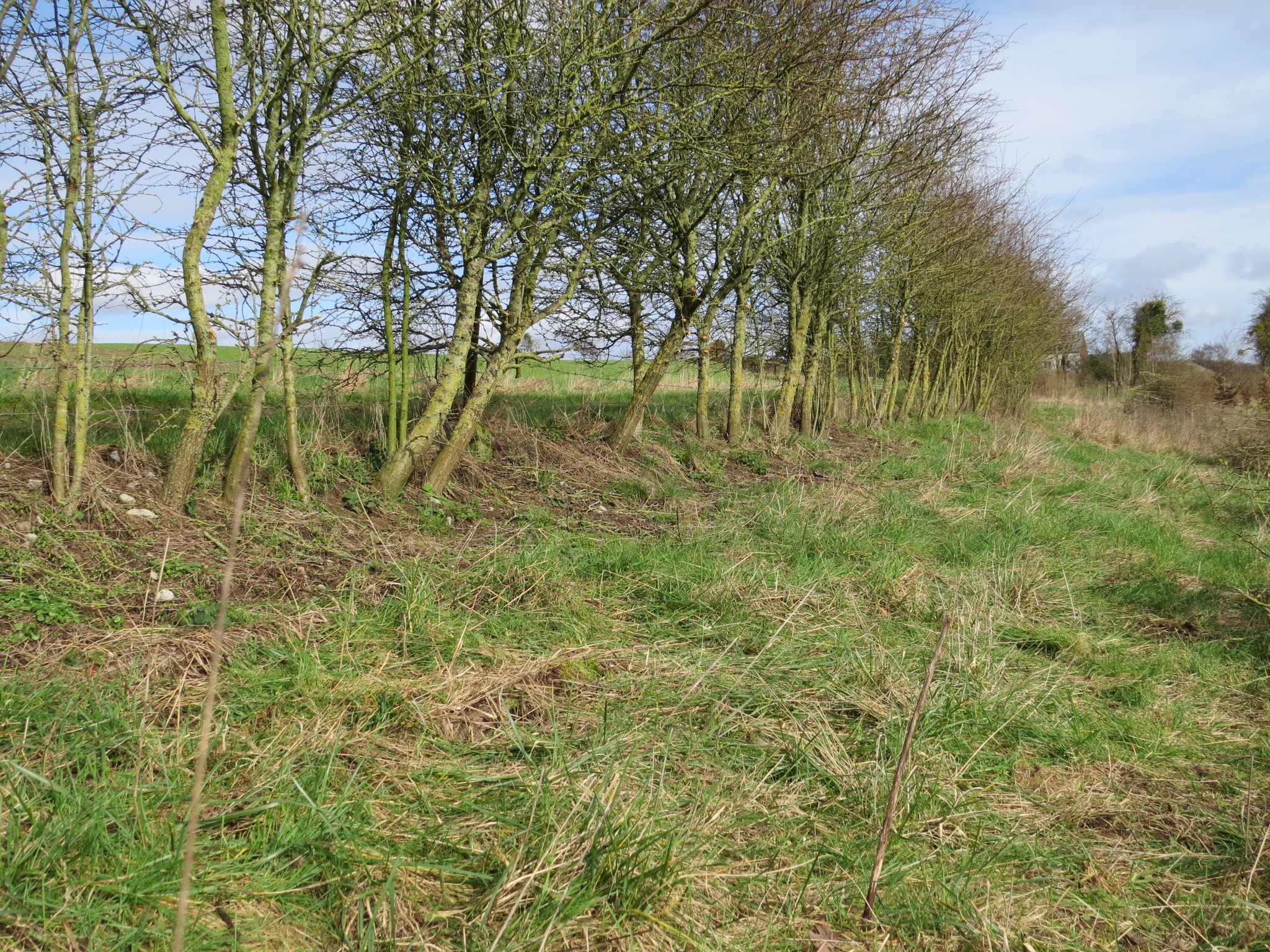 428502177_781226267365136_8364344771583723749_n