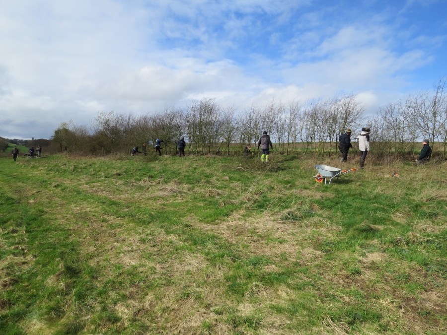 428518546_781225857365177_3534896730484019021_n