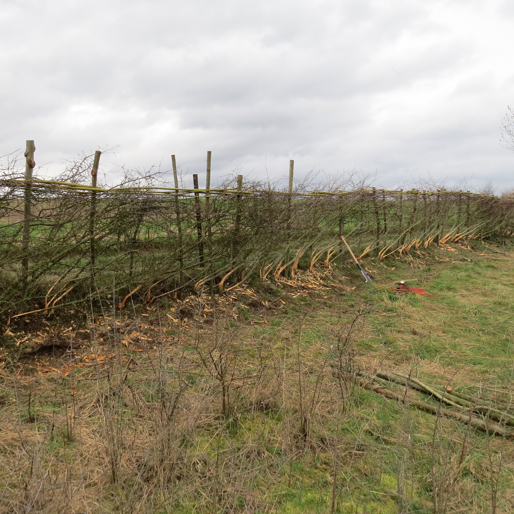 431064695_781225514031878_757789567928547926_n