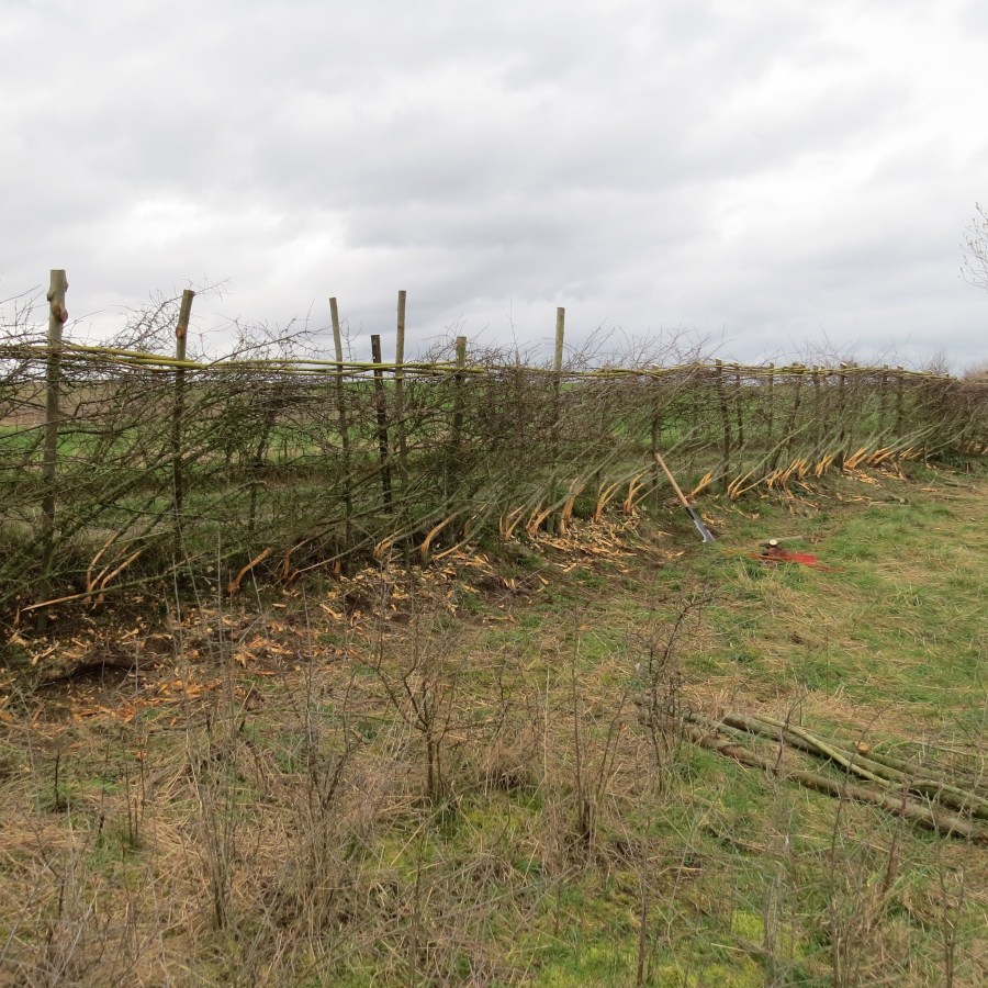 431064695_781225514031878_757789567928547926_n