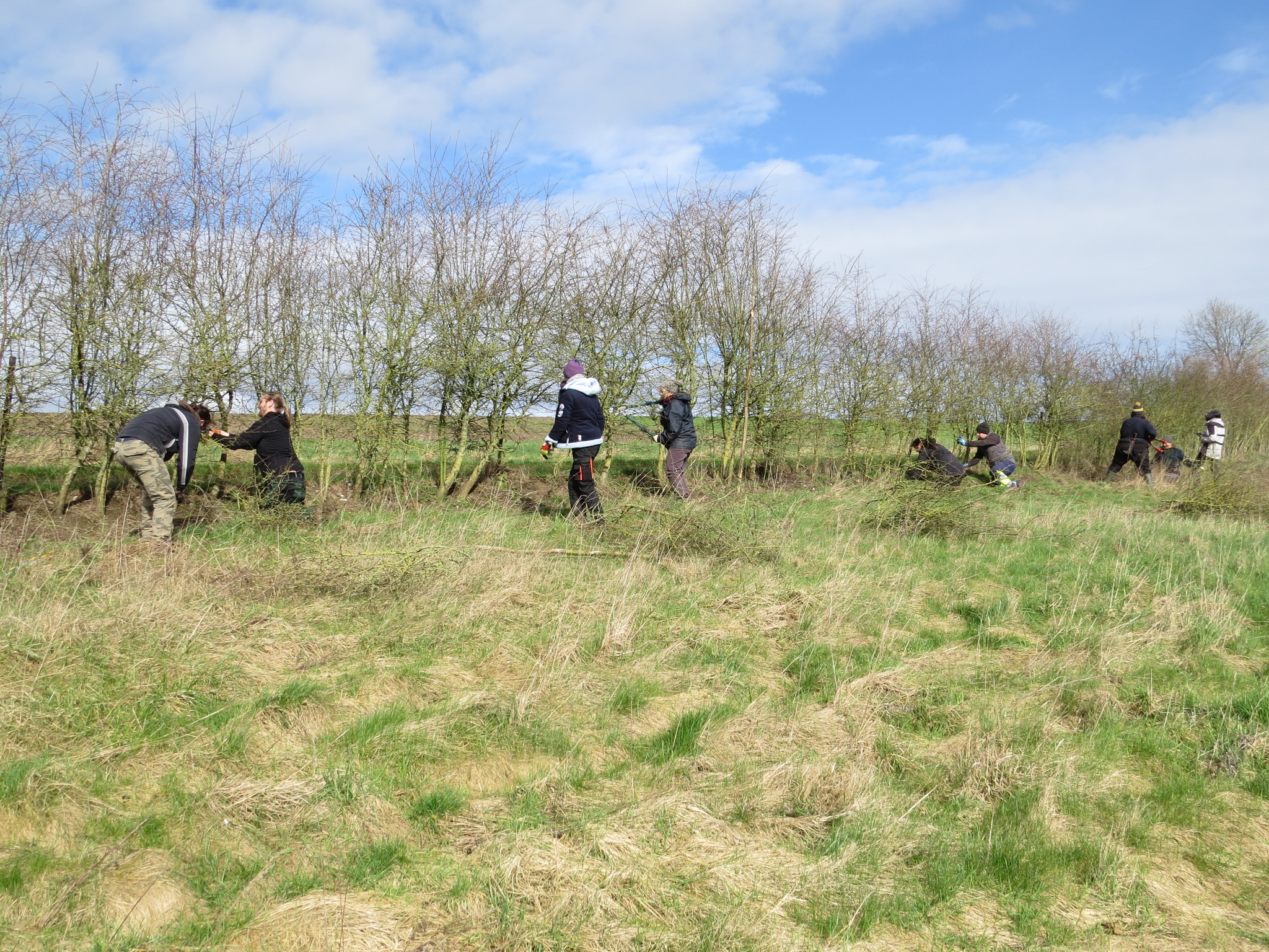 431080398_781226000698496_281157347470817375_n