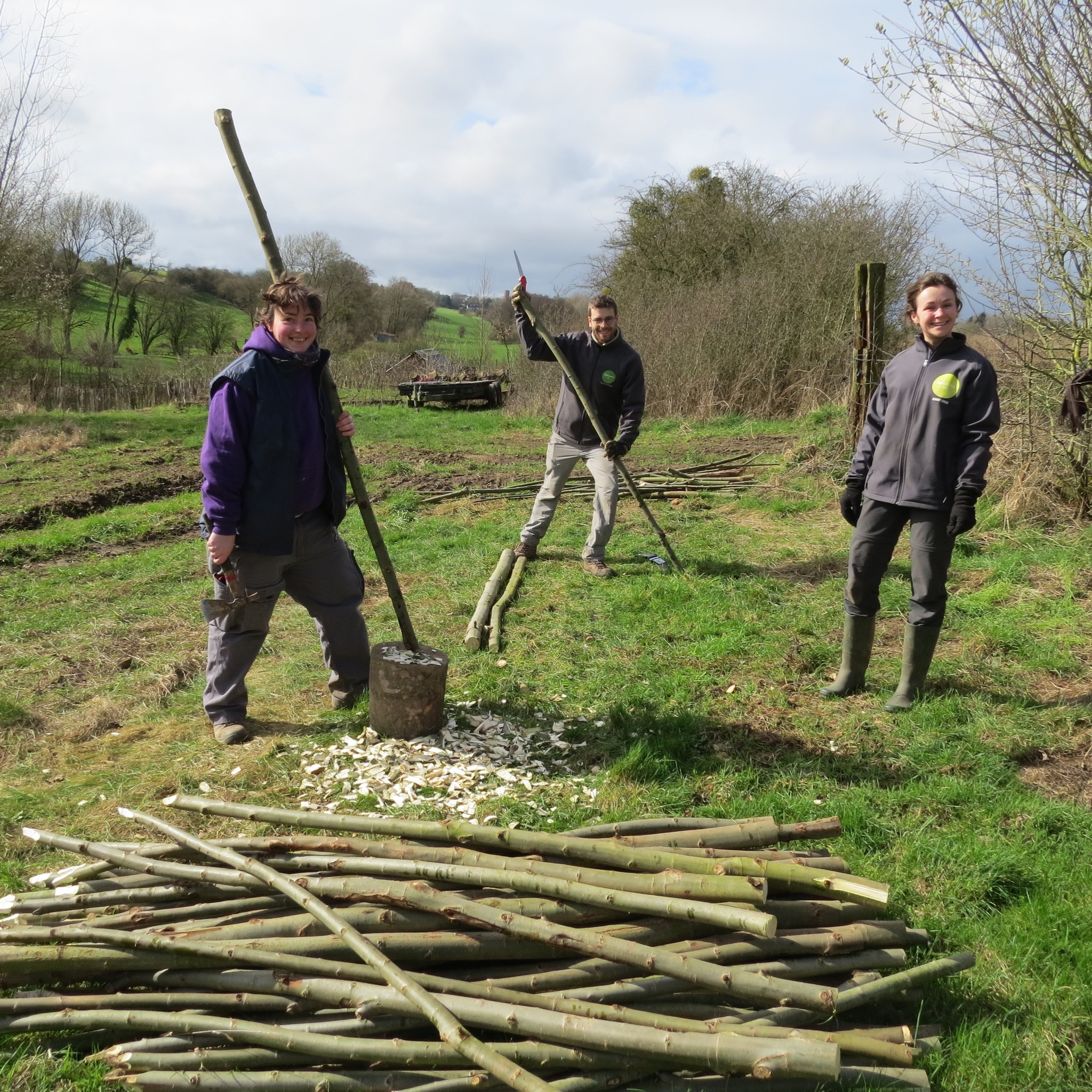 431080415_781225394031890_6421098886839490750_n