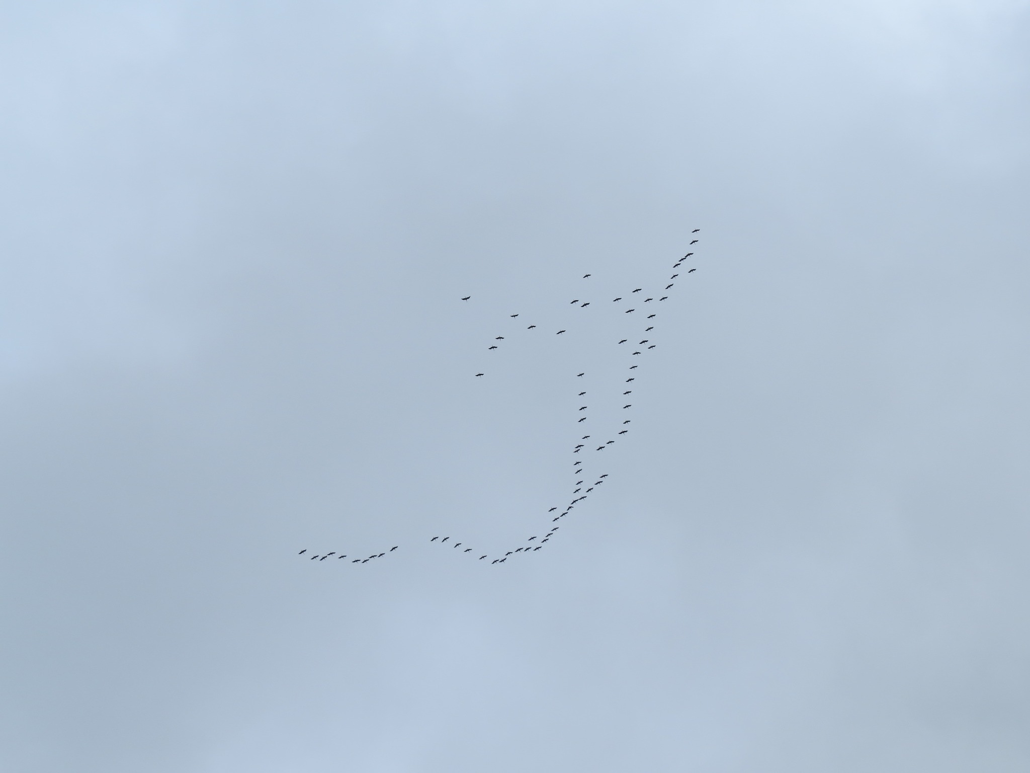 431136600_781226134031816_6877845946954964562_n