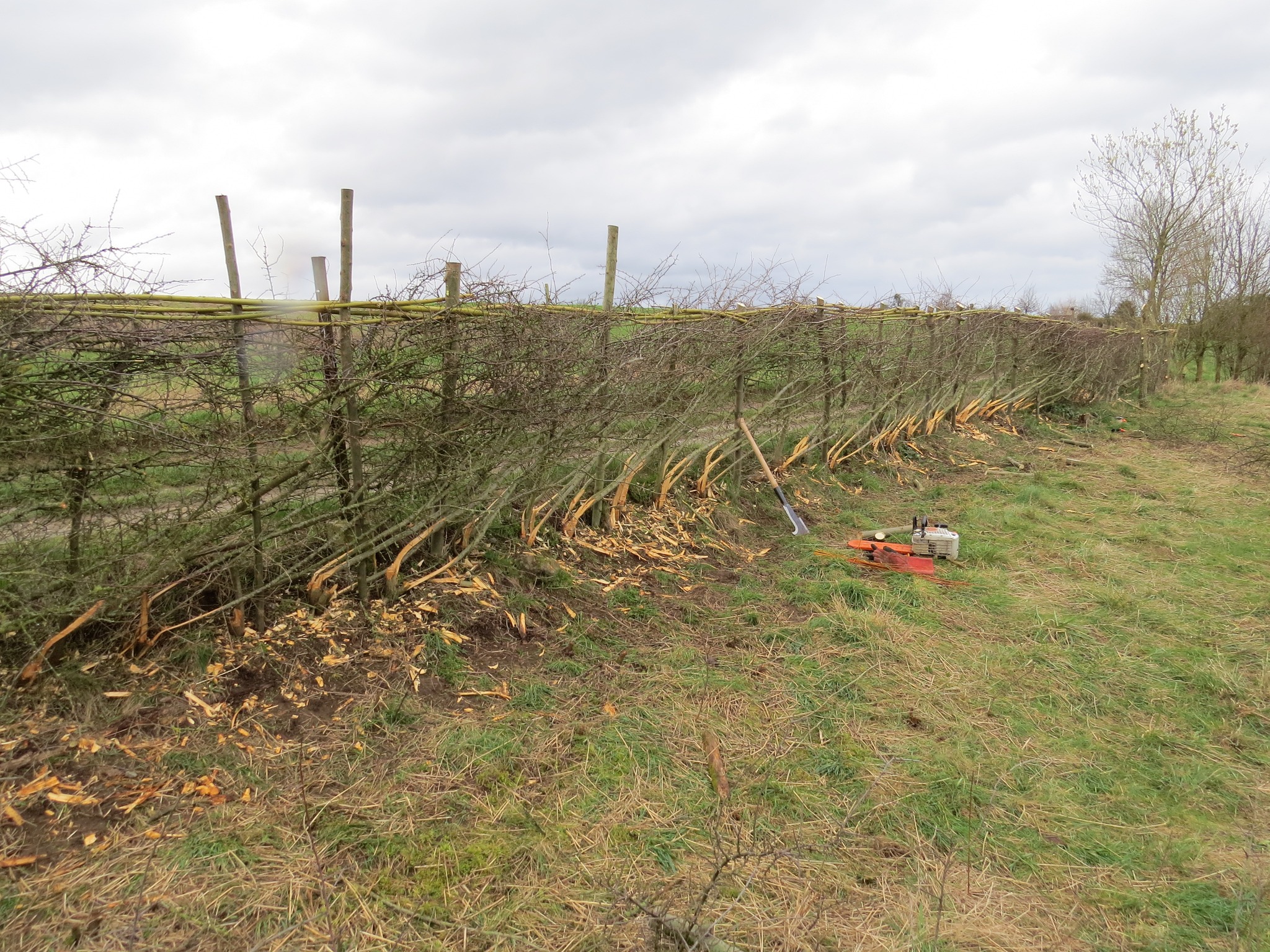 431182738_781226634031766_1010675958749682924_n