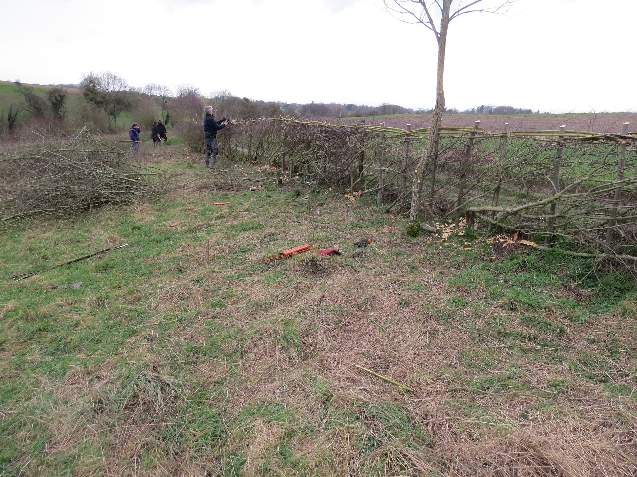 431199381_781226584031771_1651716125037898187_n