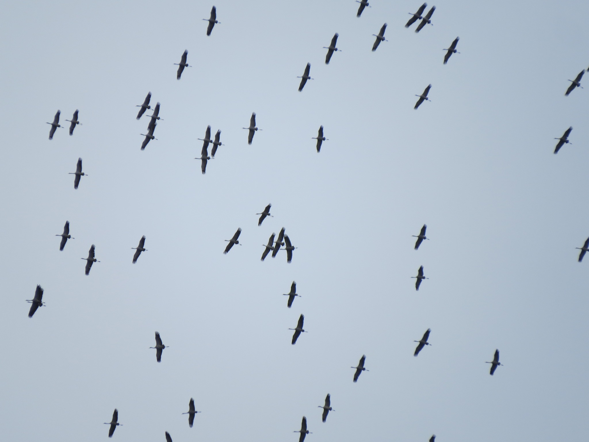 431208101_781226224031807_5660125398757972001_n