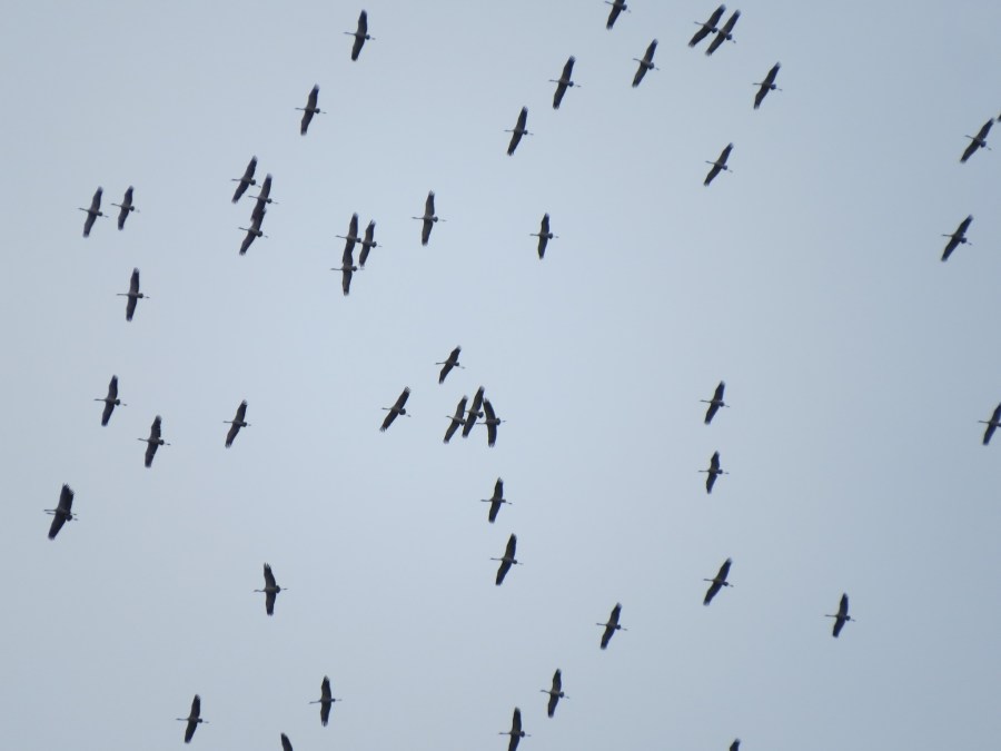 431208101_781226224031807_5660125398757972001_n