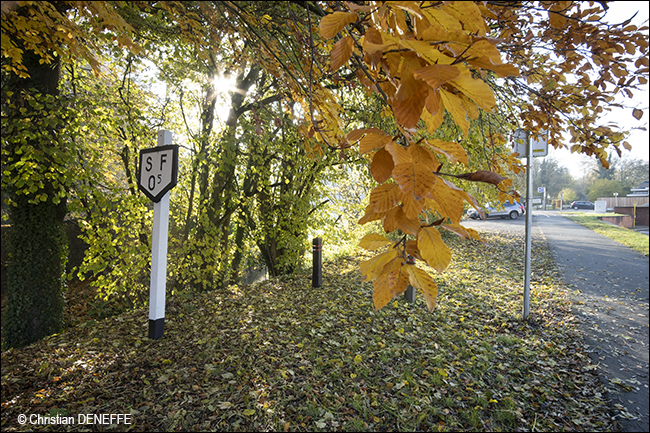 Ravel Automne2019 650