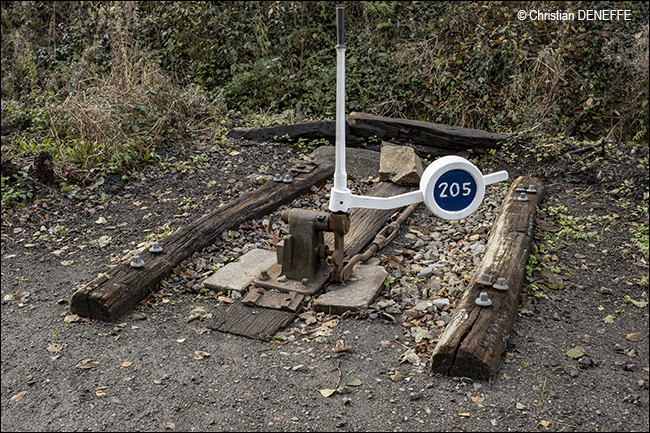 Ravel Automne2019_00054 650