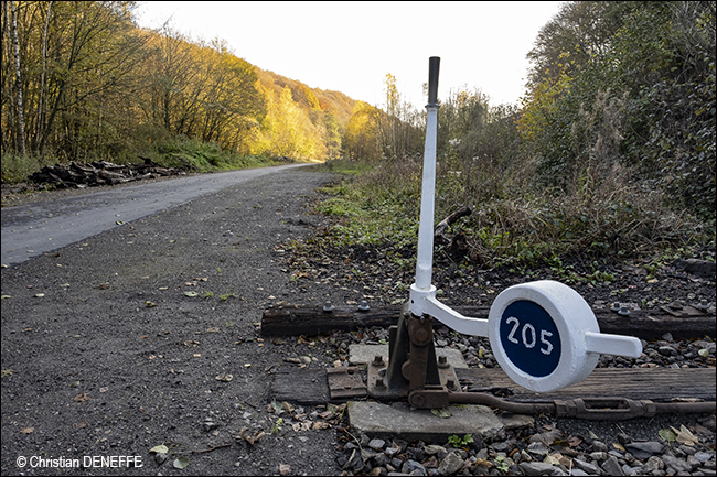 Ravel Automne2019_00055 650