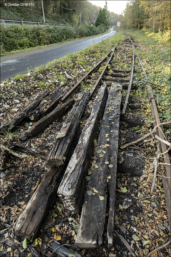 Ravel Automne2019_00058 650