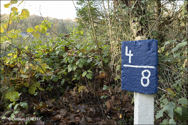 Ravel Automne2019_00070 650