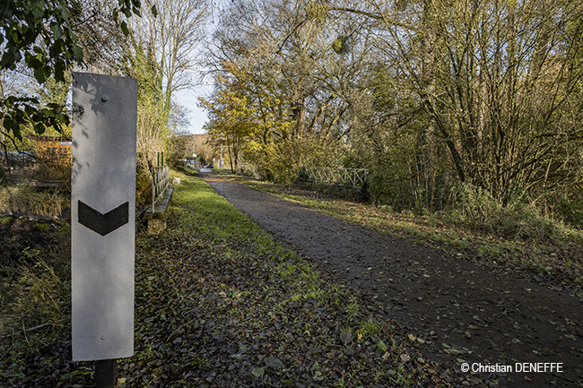 Ravel Automne2019_00098 650