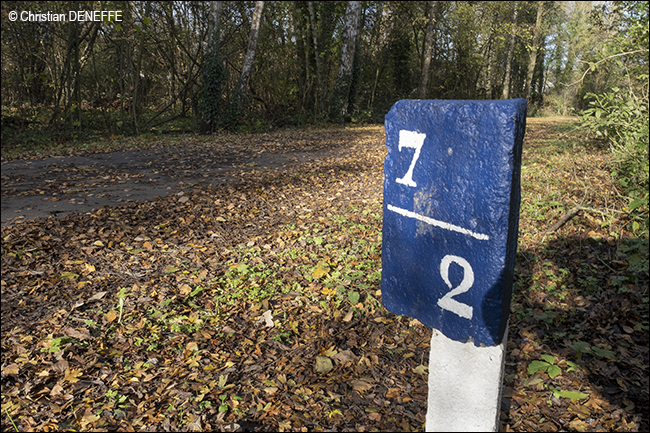 Ravel Automne2019_00099 650