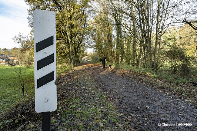 Ravel Automne2019_00109 650