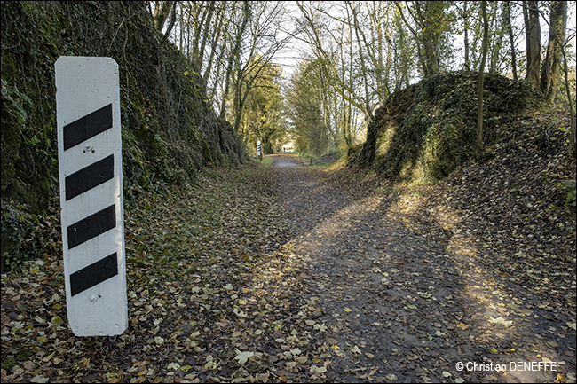 Ravel Automne2019_00110 650