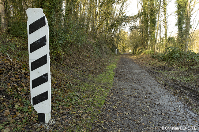 Ravel Automne2019_00113 650